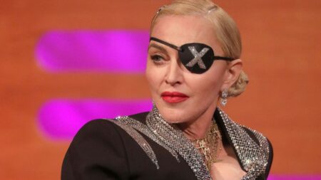 Madonna’s Transformation: A Look at Her Drastically Different Appearance in 2025